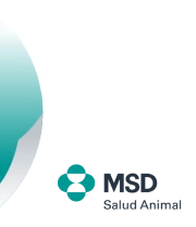 MSD
