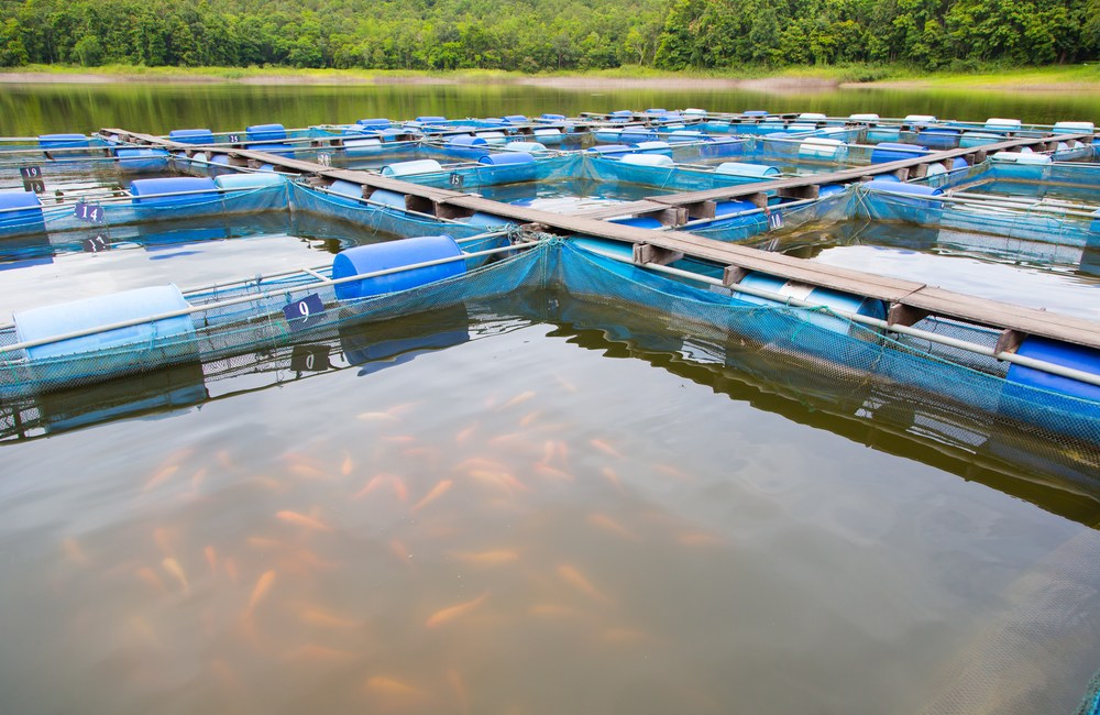 calidad de agua en acuicultura