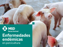 Enfermedades endémicas en porcicultura