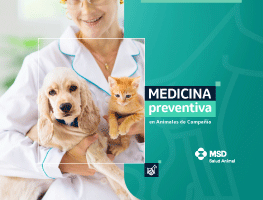 Medicina preventiva